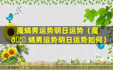 魔蝎男运势明日运势（魔 🦆 蝎男运势明日运势如何）